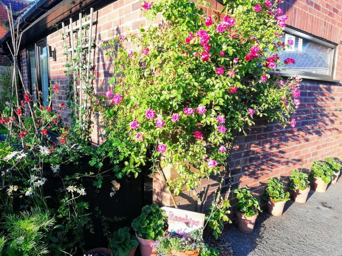 约克Rosehips At Kerensa, Naburn公寓 外观 照片